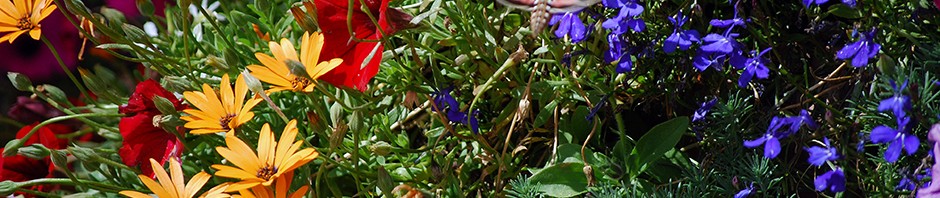 family and personal growth articles